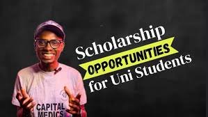 Ongoing Scholarships for UNILAG & LASU Students